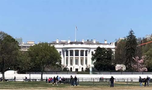 Трамп обсудил с президентом Египта судьбу Газы и атаки хуситов Трамп обсудил с президентом Египта судьбу Газы и атаки хуситов