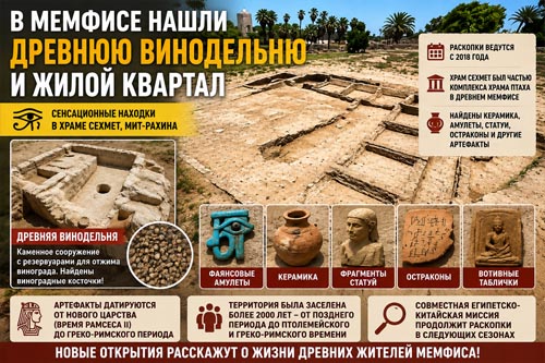 В Мемфисе нашли древнюю винодельню и целый жилой квартал В Мемфисе нашли древнюю винодельню и целый жилой квартал