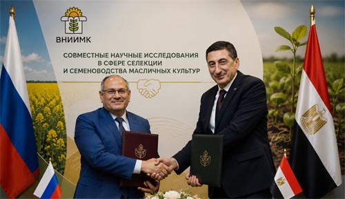 Египет открыл дверь российским семенам: ученые двух стран договорились вместе выращивать урожаи будущего Египет открыл дверь российским семенам: ученые двух стран договорились вместе выращивать урожаи будущего