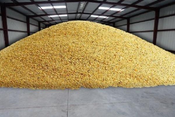 ����������� ������� �������� ������� �� Blumberg Grain ��� ������