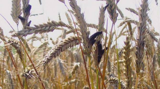 ������ ����� ����� ������ ���������� � ������� ���������� �������� � ������������� �������