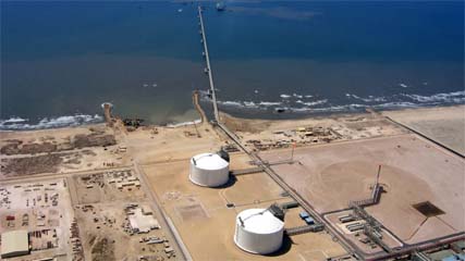 Египет объявил международный тендер на поиск природного газа и сырой нефти в Средиземном море и дельте Нила Египет объявил международный тендер на поиск природного газа и сырой нефти в Средиземном море и дельте Нила