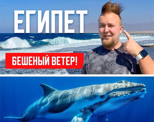 ������� ���� ���� �� ��������... ����� ������ �����