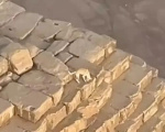 �������� ������ ���������� �� ������� �������� ������ � ������