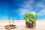 COP27 � ������ �������� ���������� � �������� ������ ������� �� ��������� �������