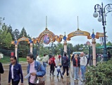 ������ ����� ���������� � Walt Disney Company � ������������� �����������