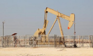 Agiba Petroleum ������� ����� �������� ������������� Arcadia West � �������� ������� ������